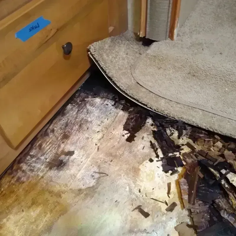 Best Wood Floor Water Damage Service in Larksville, PA